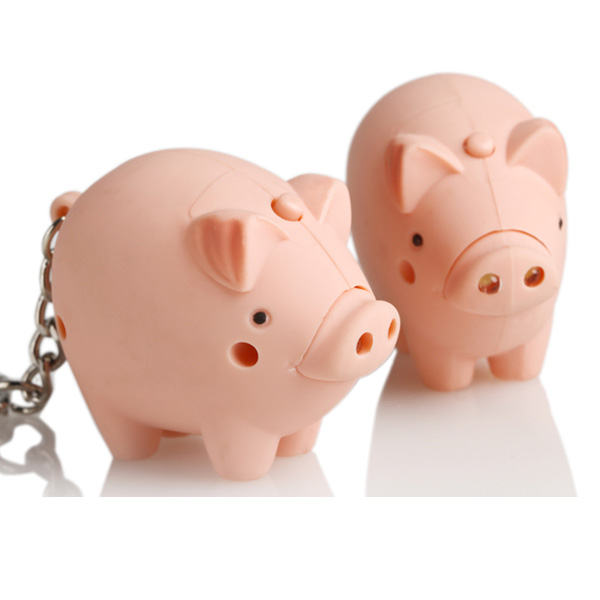 HL4061 pig